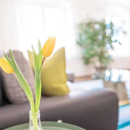 Helle Ferienwohnung Im Hinterhof Dresden Ngoại thất bức ảnh