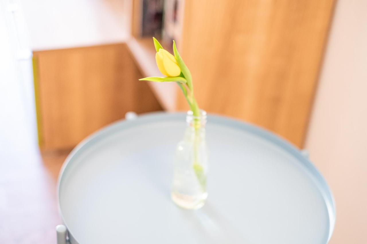Helle Ferienwohnung Im Hinterhof Dresden Ngoại thất bức ảnh